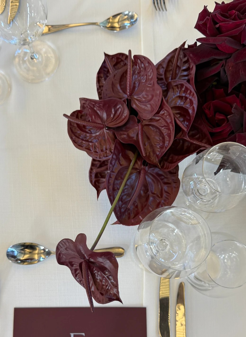 Burgundy anthurium detail